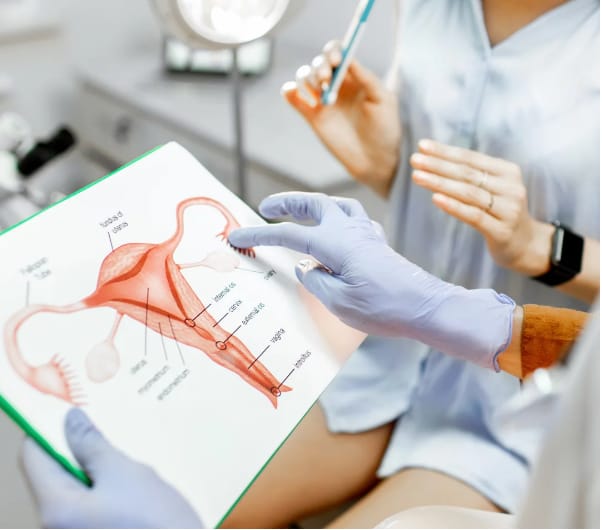 Ginecologia ed Ostetricia
